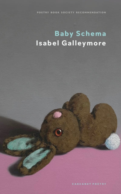 Baby Schema 9781800173880 Isabel Galleymore