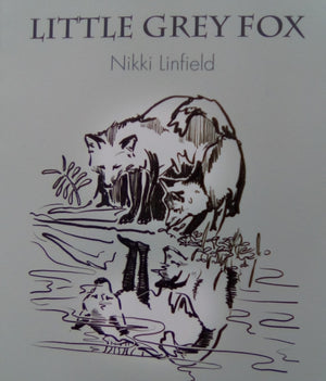 Little Grey Fox