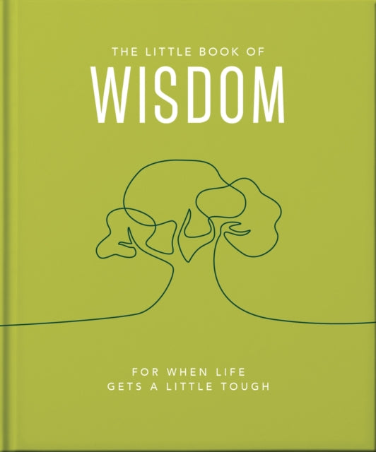 Book cover of: Little Book of Wisdom. By: Orange Hippo!