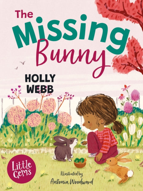 Missing Bunny 9781800902411 Holly Webb