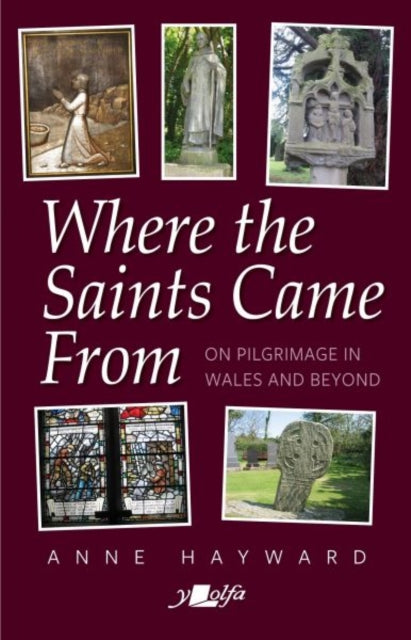 Book cover of: Where the Saints Came From