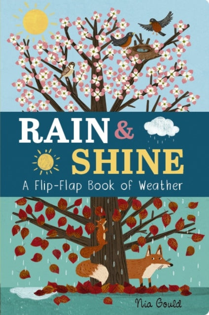 Rain & Shine: A Flip-Flap Book of Weather, A Flip-Flap Book of Weather