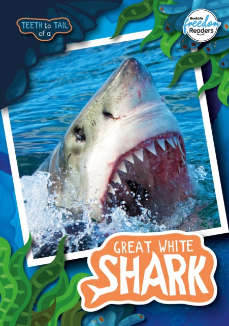 Teeth to Tail of a Great White Shark 9781801551304 Robin Twiddy; Danielle Rippengill