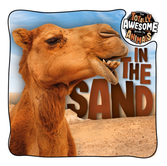 Book cover of: In the Sand. By: Brenda McHale; Dan Scase