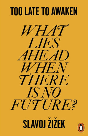 Too Late to Awaken, What Lies Ahead When There is No Future?