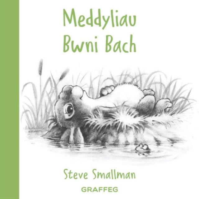Book cover of: Meddyliau Bwni Bach. By: Steve Smallman