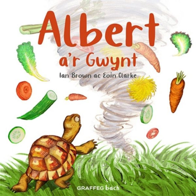 Book cover of: Albert a'r Gwynt. By: Ian Brown