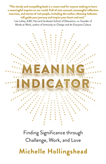 Book cover of: Meaning Indicator. By: Michelle Hollingshead