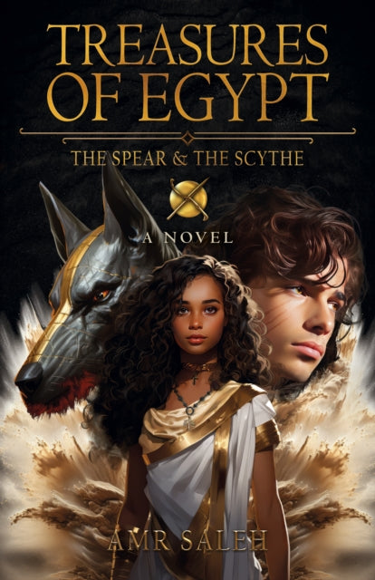 Book cover of: Treasures of Egypt. By: Amr Saleh