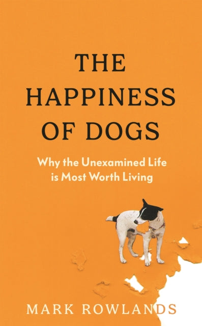 Happiness of Dogs, Why the Unexamined Life Is Most Worth Living