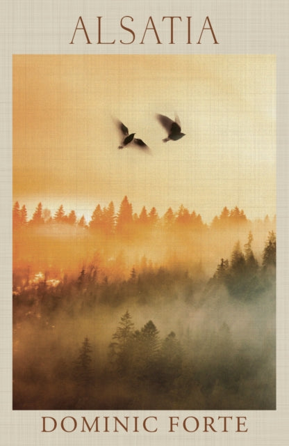 Book cover of: Alsatia. By: Dominic Forte
