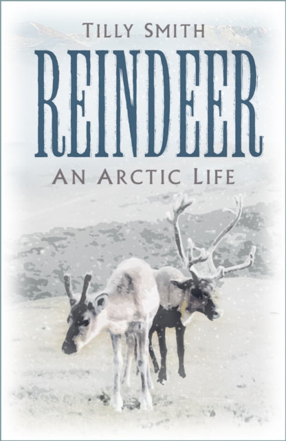Book cover of: Reindeer. By: Tilly Smith