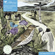 Book cover of: Adult Sustainable Jigsaw Puzzle Angela Harding: The Common