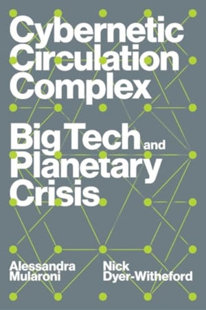 Cybernetic Circulation Complex, Big Tech and Planetary Crisis