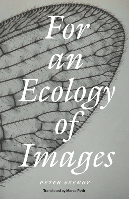 Book cover of: For an Ecology of Images. By: Peter Szendy
