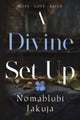 Book cover of: Divine Set Up