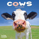Book cover of: Cows Calendar 2026  Square Farm Animal Wall Calendar - 16 Month
