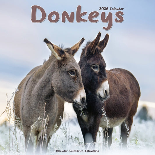 Book cover of: Donkeys Calendar 2026  Square Animal Wall Calendar - 16 Month