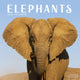 Book cover of: Elephants Calendar 2026  Square Wildlife Safari Wall Calendar - 16 Month