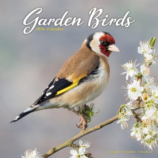 Book cover of: Garden Birds Calendar 2026  Square Birds Wall Calendar - 16 Month