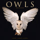 Book cover of: Owls Calendar 2026  Square Birds Wall Calendar - 16 Month
