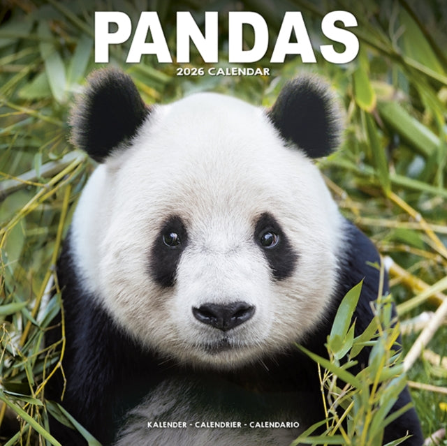 Book cover of: Panadas Calendar 2026  Square Animal Wall Calendar - 16 Month