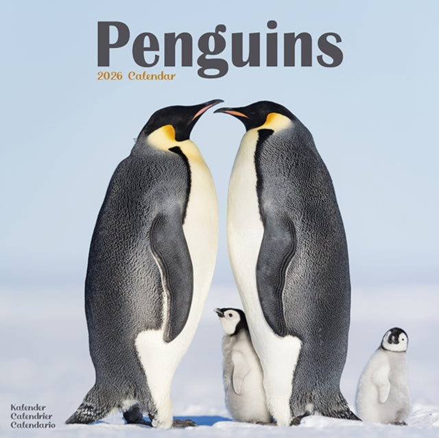 Book cover of: Penguins Calendar 2026  Square Animal Wall Calendar - 16 Month