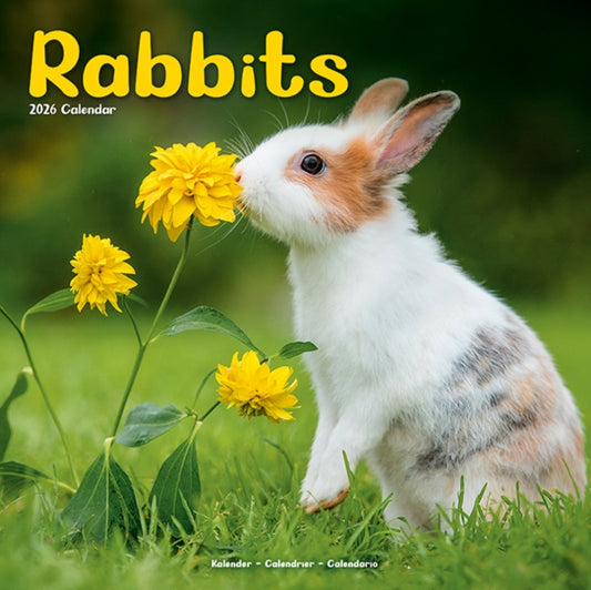 Book cover of: Rabbits   Calendar 2026  Square Animal Wall Calendar - 16 Month