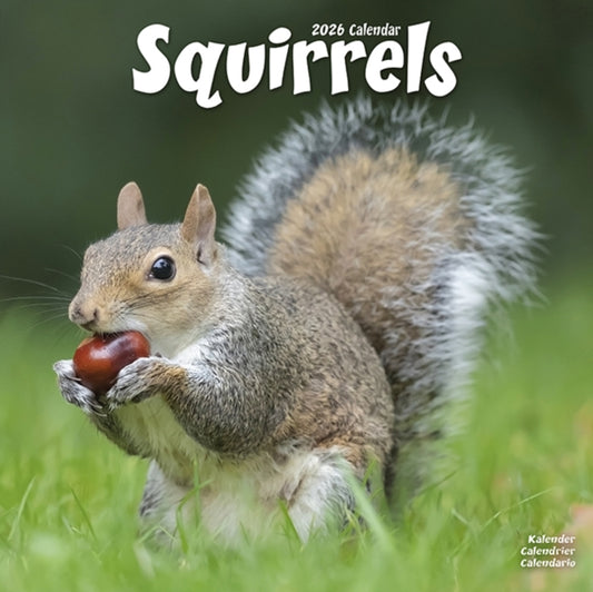 Book cover of: Squirrels Calendar 2026  Square Animal Wall Calendar - 16 Month