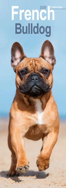 Book cover of: French Bulldog Slim Calendar 2026  Dog Breed Slimline Calendar - 12 Month