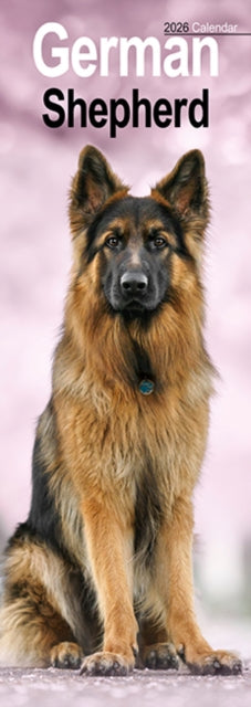 Book cover of: German Shepherd Slim Calendar 2026  Dog Breed Slimline Calendar - 12 Month
