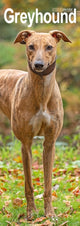 Book cover of: Greyhound Slim Calendar 2026  Dog Breed Slimline Calendar - 12 Month