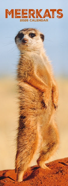 Book cover of: Meerkats  Slim Calendar 2026 Cute Slimline Calendar - 12 Month
