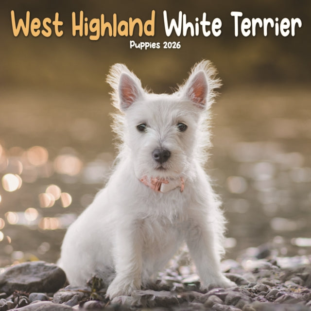 Book cover of: West Highland White Terrier Puppies Squa