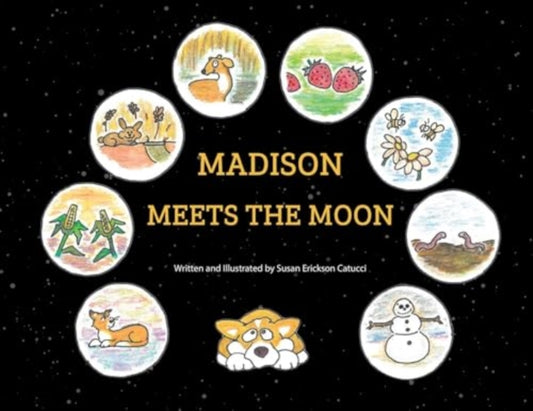Book cover of: Madison Meets the Moon