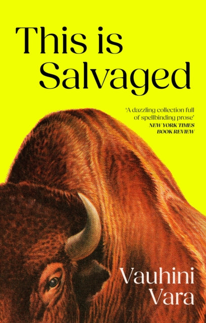 Book cover of: This is Salvaged. By: Vauhini Vara