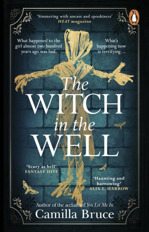 Witch in the Well, A deliciously disturbing Gothic tale of a revenge reaching out across the years