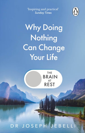 The Brain at Rest