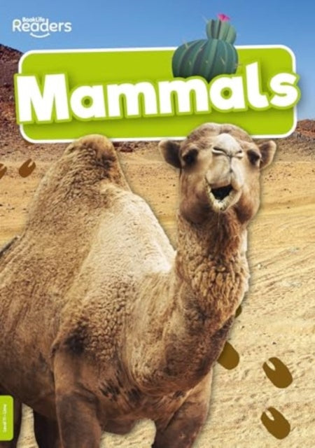 Book cover of: Mammals. By: Charlie Ogden