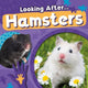 Book cover of: Hamsters
