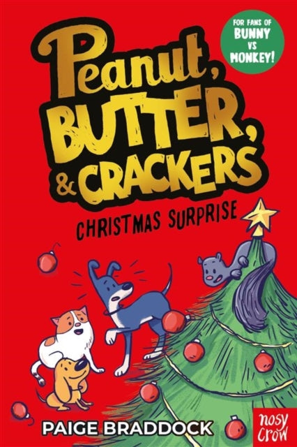 Christmas Surprise, A Peanut, Butter & Crackers story 9781805134589 BRADDOCK, PAIGE