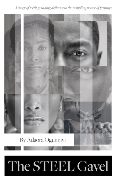 Book cover of: Steel Gavel. By: Adaora Ogunniyi