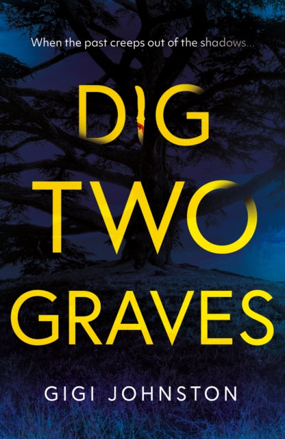 Book cover of: Dig Two Graves. By: Gigi Johnston