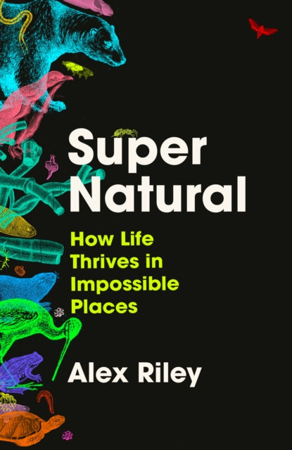 Book cover of: Super Natural
