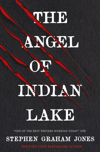 Book cover of: Angel of Indian Lake
