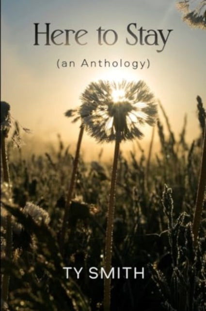 Book cover of: Here to Stay (an Anthology)