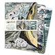 Book cover of: Angela Harding: Coastlines Set of 3 Standard Notebooks