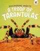 Book cover of: Discovering Insects: A Troop of Tarantulas. By: Rebecca Storm