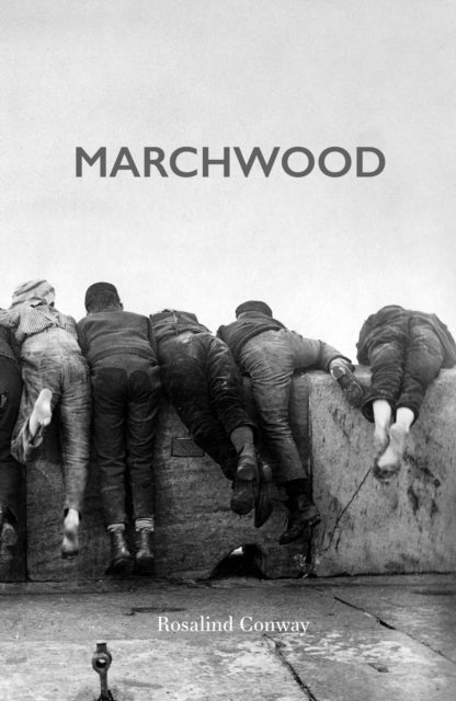 Book cover of: Marchwood