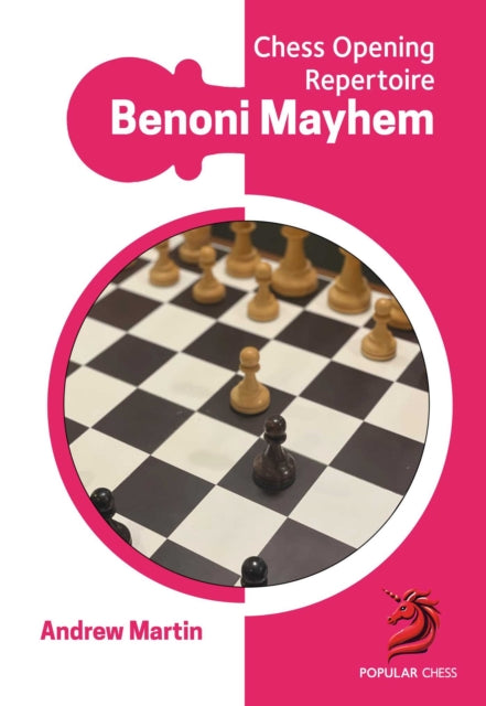 Book cover of: Benoni Mayhem. By: Andrew Martin